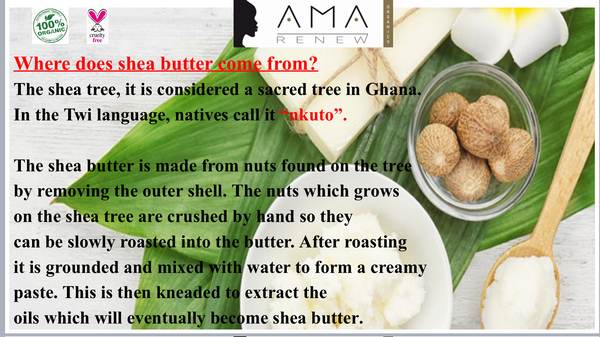 Ama Renew Shea Butter & Body Food